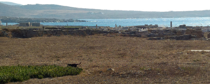 デロス島の画像15