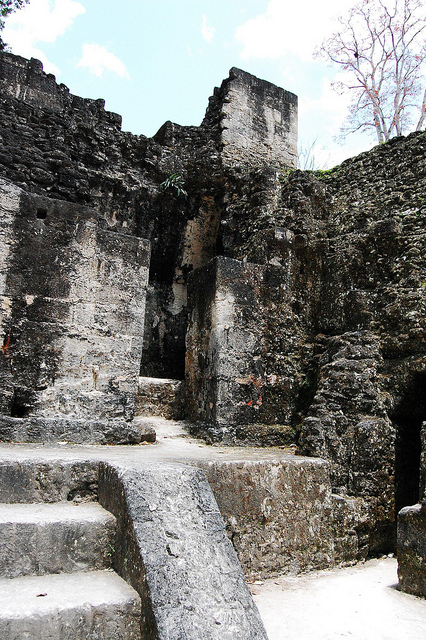 ティカル国立公園の画像8