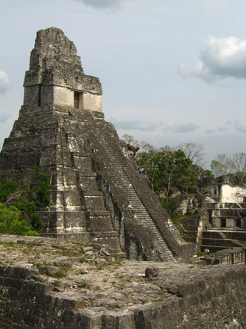 ティカル国立公園の画像11