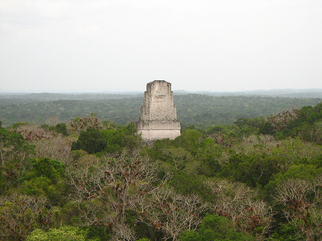 ティカル国立公園の画像13