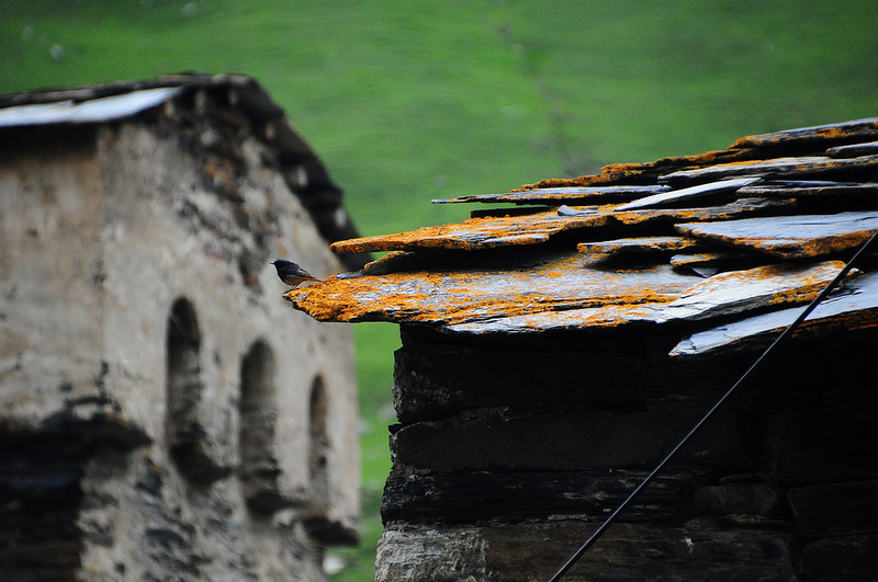 上スヴァネティの画像24