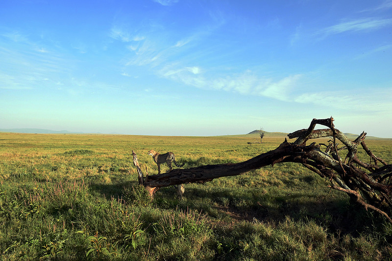 レワ野生生物保全地域の画像2
