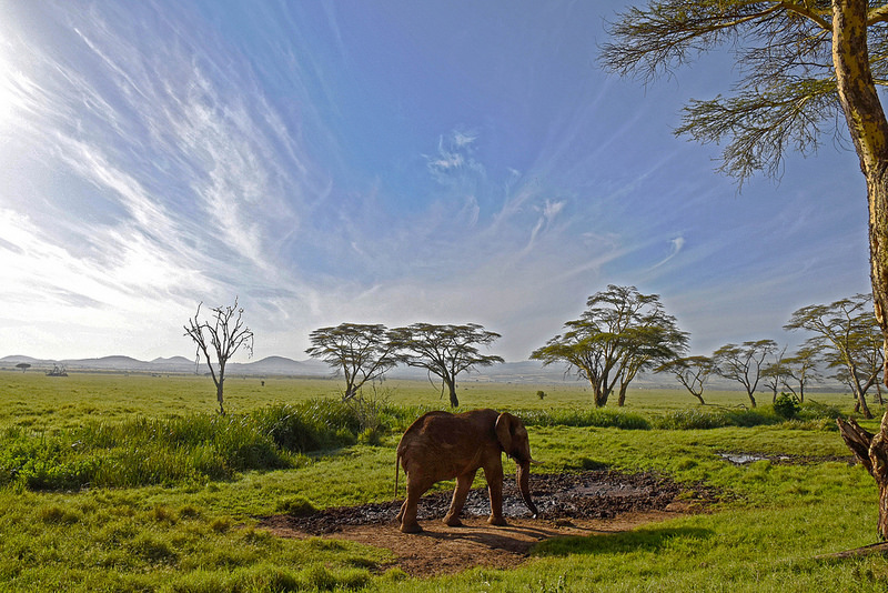 レワ野生生物保全地域の画像3