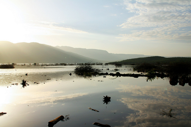 大地溝帯にある ケニアの湖沼群の画像25