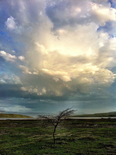 大地溝帯にある ケニアの湖沼群の画像27