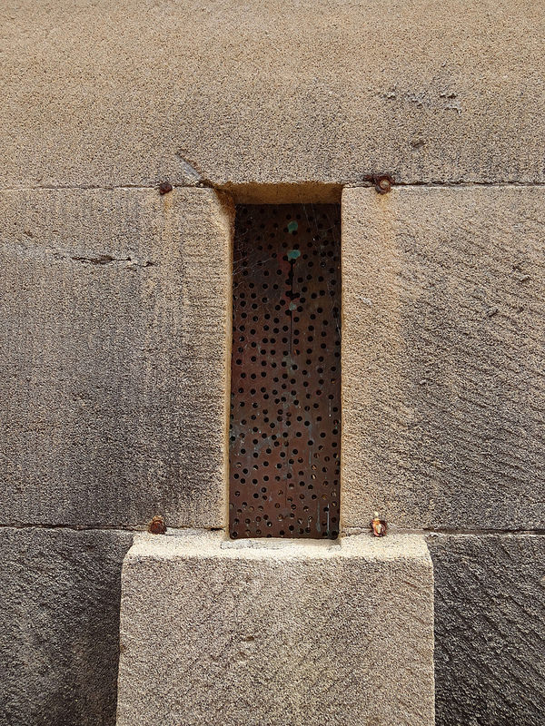 ココ島国立公園の画像14