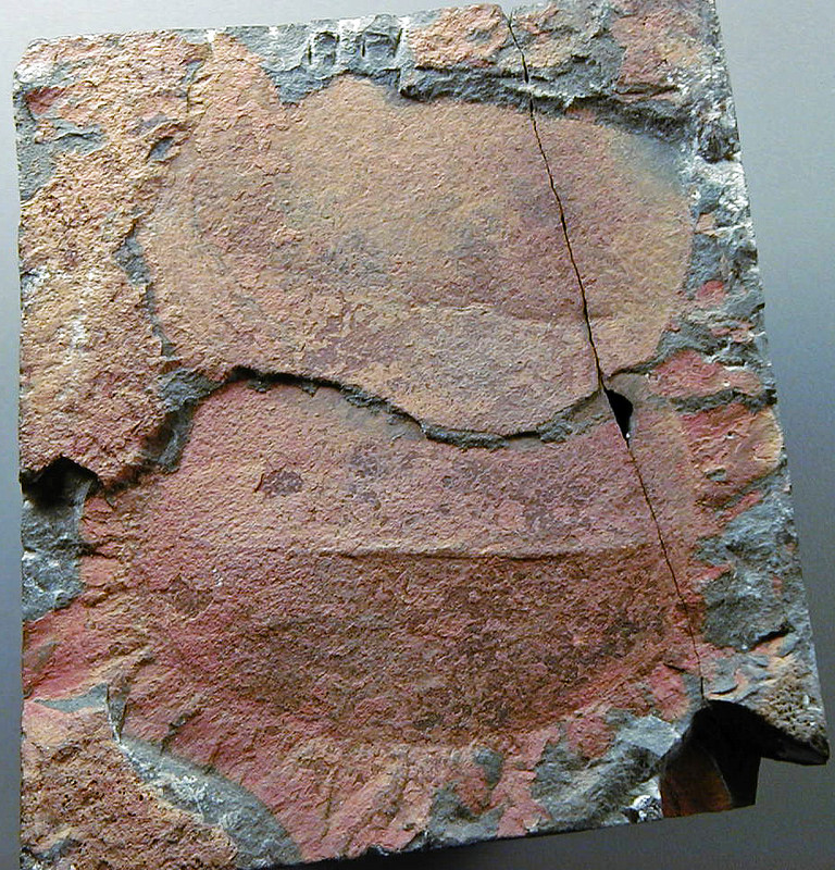 コロンビアのコーヒー産地の文化的景観の画像16