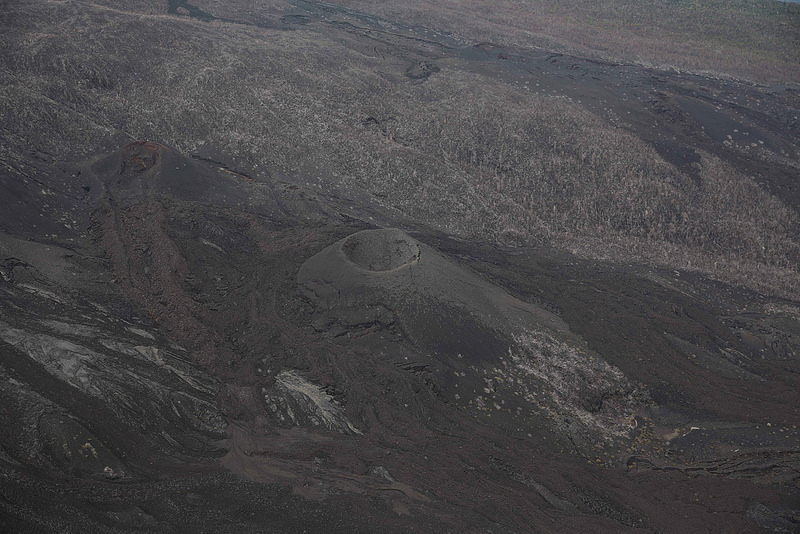 ヴィルンガ国立公園の画像12