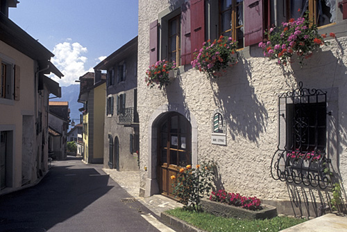 ラヴォー地区の葡萄畑の画像15