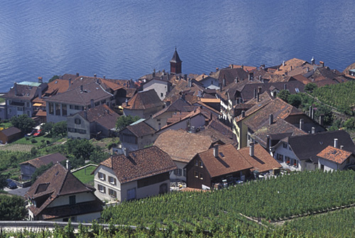 ラヴォー地区の葡萄畑の画像17