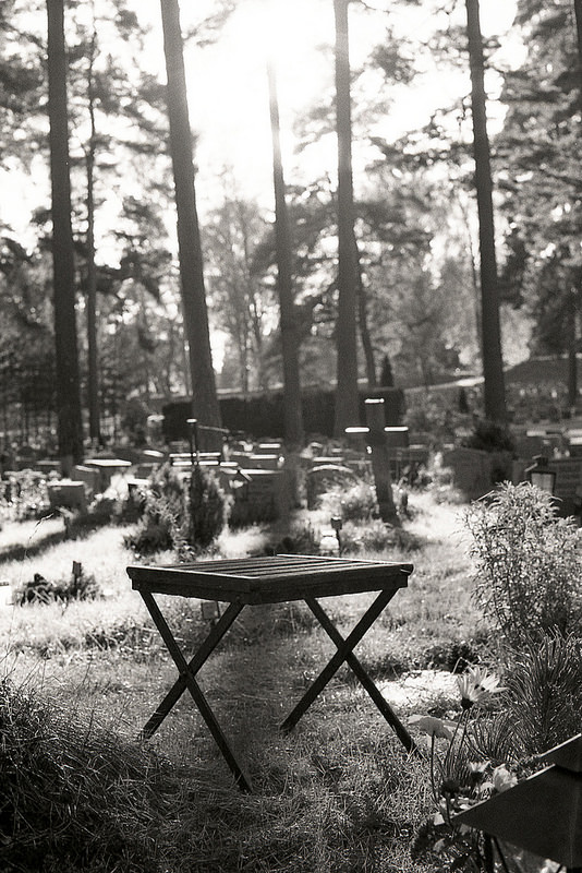 スクーグシュルコゴーデンの画像6