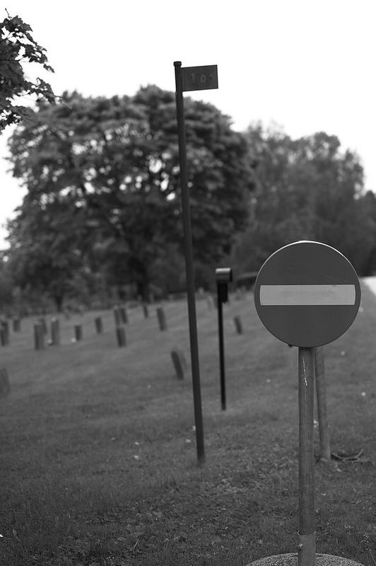 スクーグシュルコゴーデンの画像9