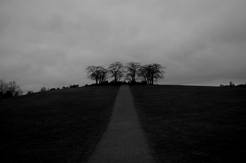 スクーグシュルコゴーデンの画像16