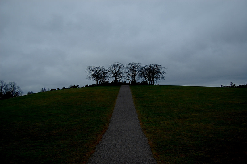 スクーグシュルコゴーデンの画像19