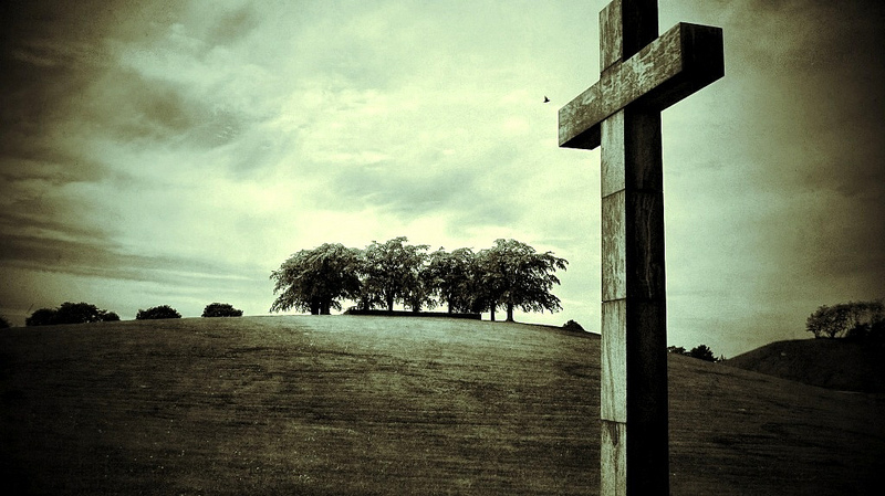 スクーグシュルコゴーデンの画像24