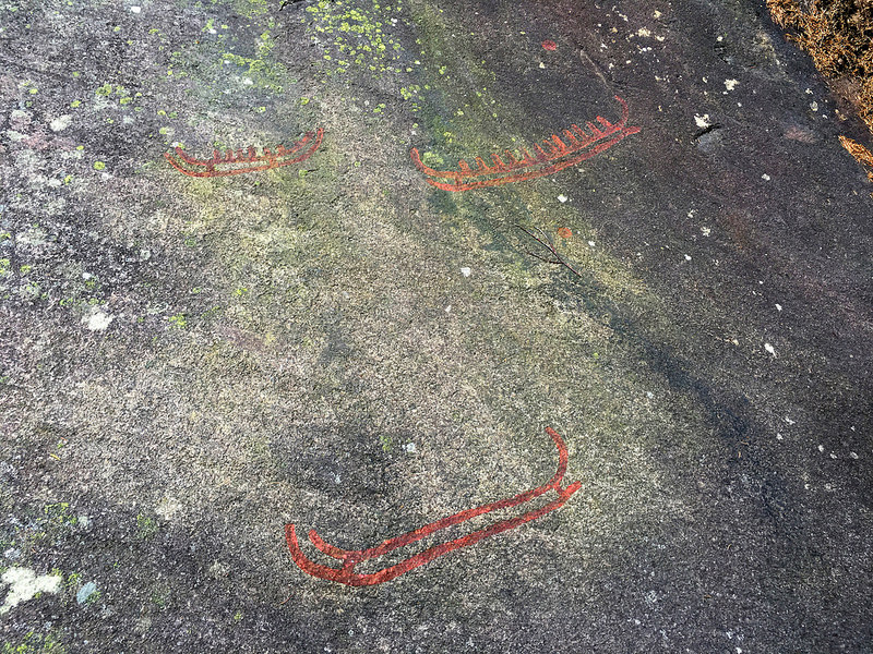 タヌムの線刻画群の画像6