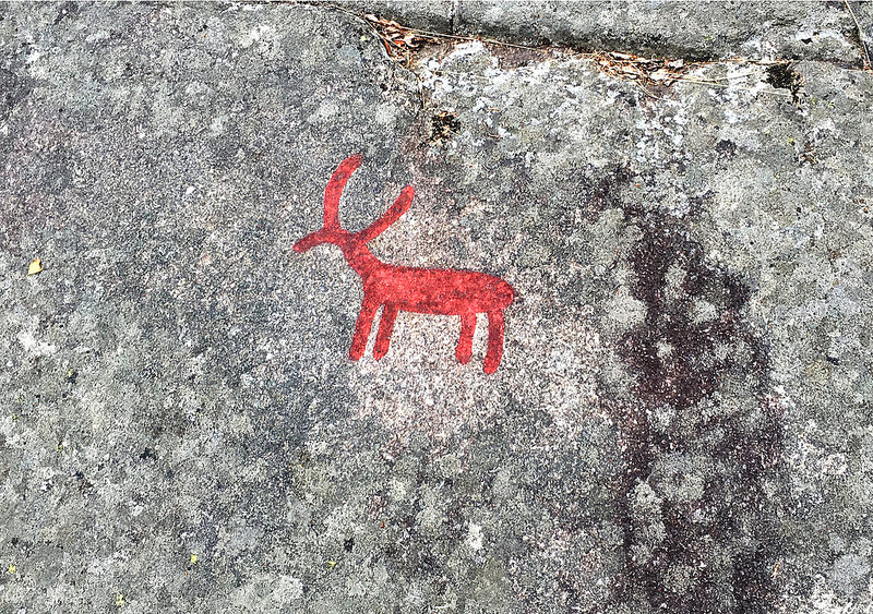 タヌムの線刻画群の画像25