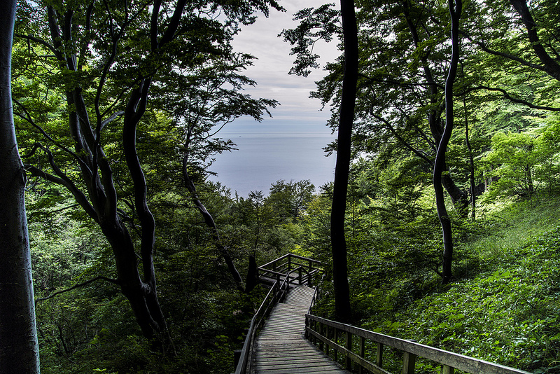 ヘーガ・クステン（ハイ・コースト）/クヴァルケン群島の画像7