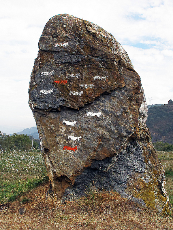 アルタミラ洞窟と北スペインの旧石器時代の洞窟画の画像4