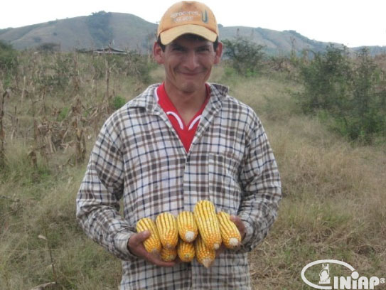 アルタミラ洞窟と北スペインの旧石器時代の洞窟画の画像15