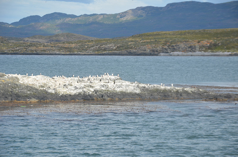 アルタミラ洞窟と北スペインの旧石器時代の洞窟画の画像21