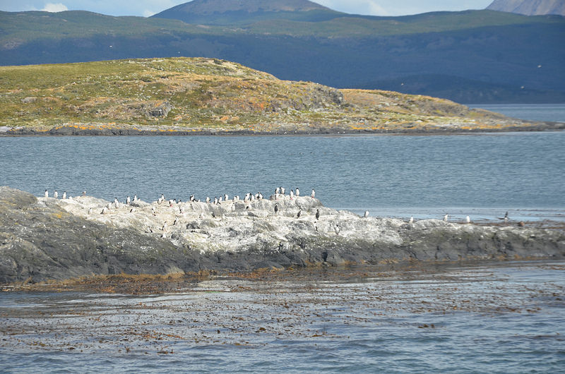 アルタミラ洞窟と北スペインの旧石器時代の洞窟画の画像23