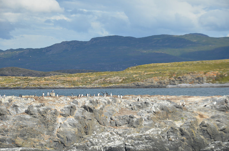 アルタミラ洞窟と北スペインの旧石器時代の洞窟画の画像24