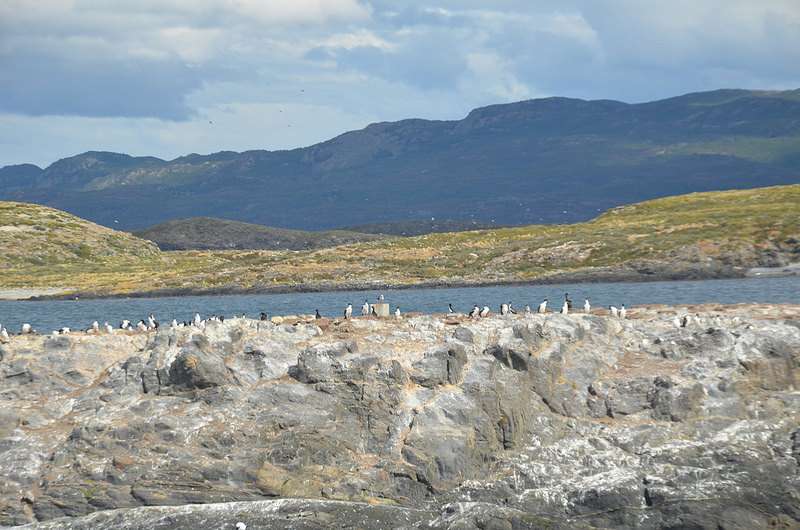 アルタミラ洞窟と北スペインの旧石器時代の洞窟画の画像25