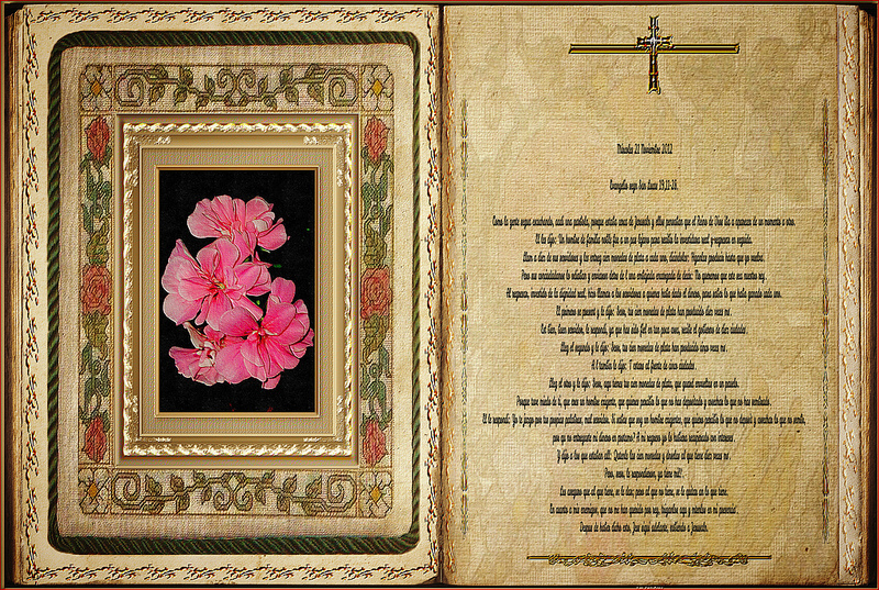 カスティーリョ山：モネダス洞窟の画像1