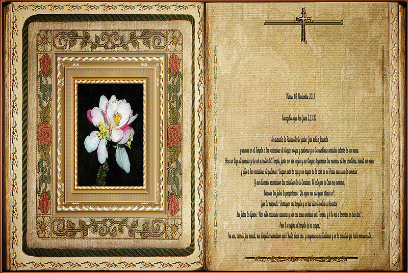 カスティーリョ山：モネダス洞窟の画像3