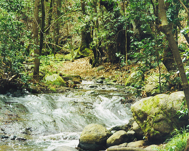 ガラホナイ国立公園の画像7