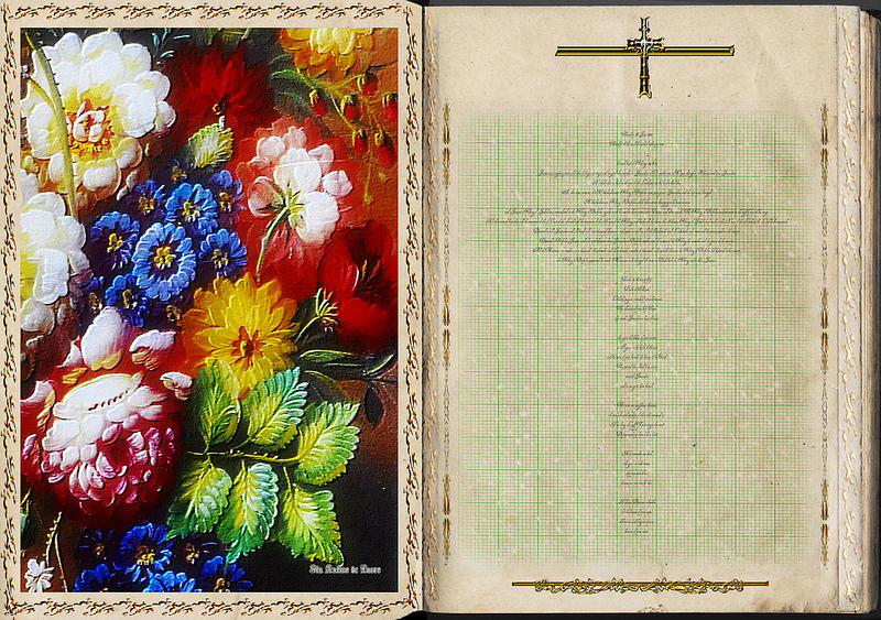 サラマンカ旧市街の画像11