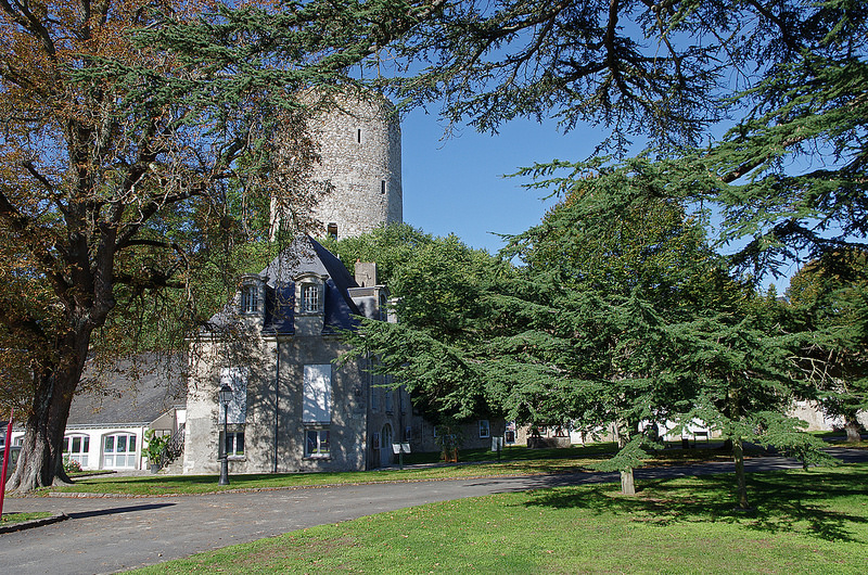 サンティアゴ・デ・コンポステーラの巡礼路：カミーノ・フランセスとスペイン北部の巡礼路群の画像19