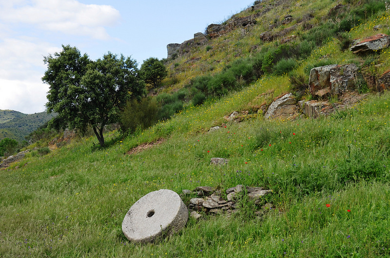 コア渓谷とシエガ・ヴェルデの先史時代のロックアート遺跡群の画像12