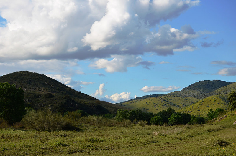 コア渓谷とシエガ・ヴェルデの先史時代のロックアート遺跡群の画像14