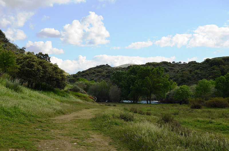 コア渓谷とシエガ・ヴェルデの先史時代のロックアート遺跡群の画像17