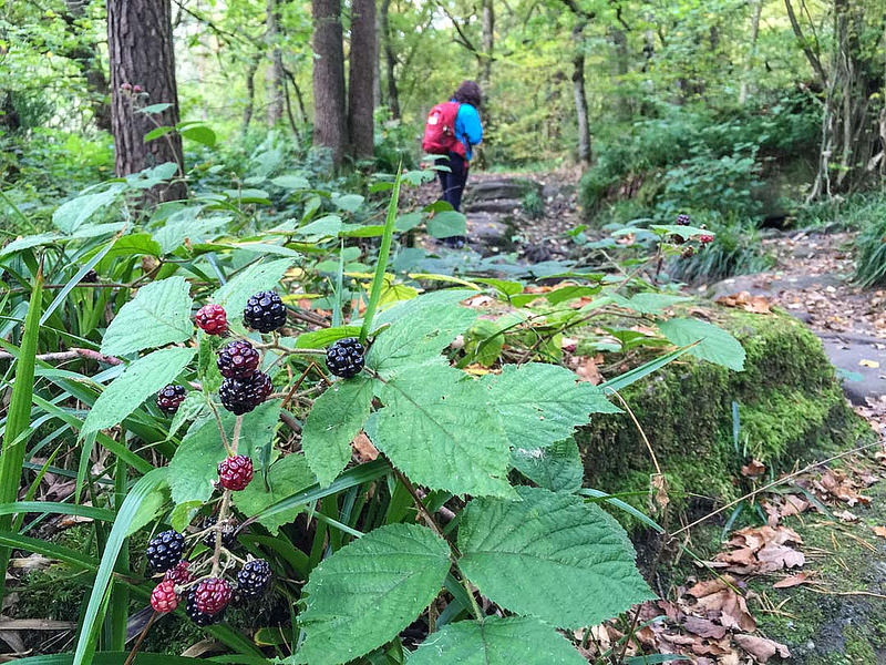 Vale de Moinhosの画像2