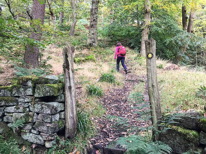 Vale de Moinhosの画像3