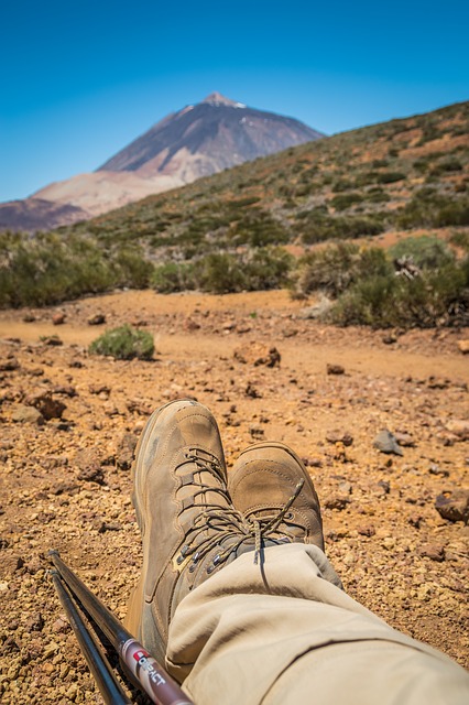 テイデ国立公園の画像16