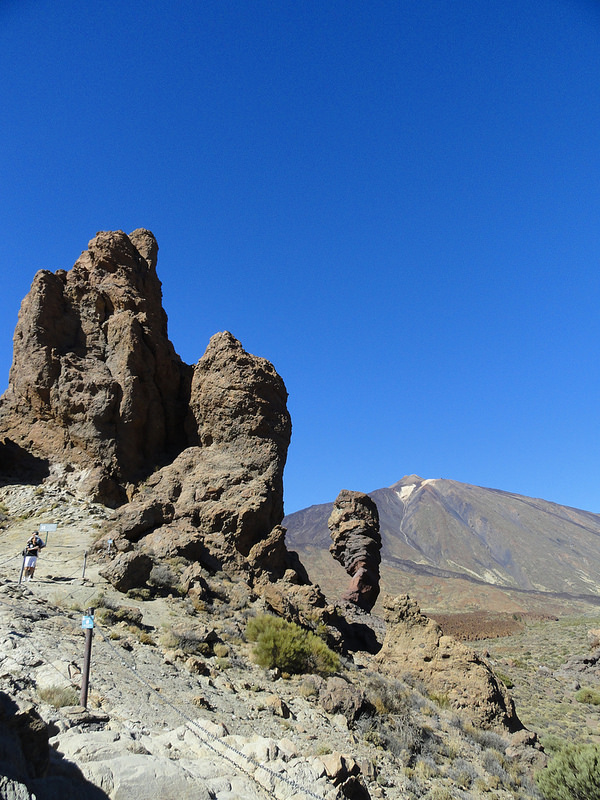 テイデ国立公園の画像25