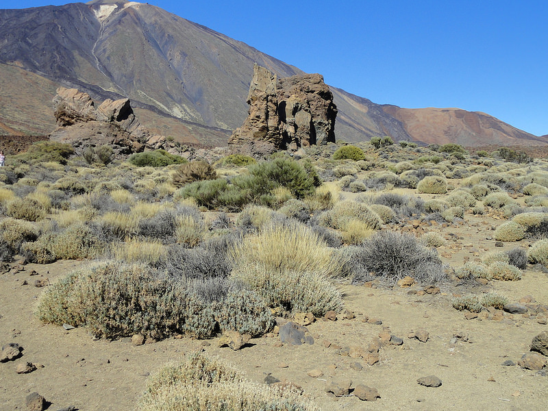 テイデ国立公園の画像28