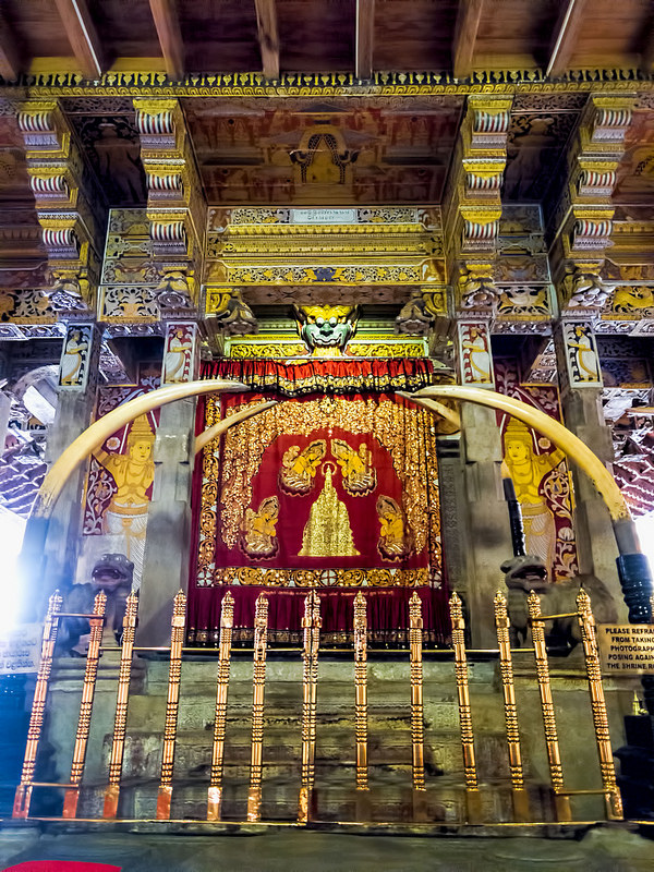 聖地アヌラーダプラの画像4