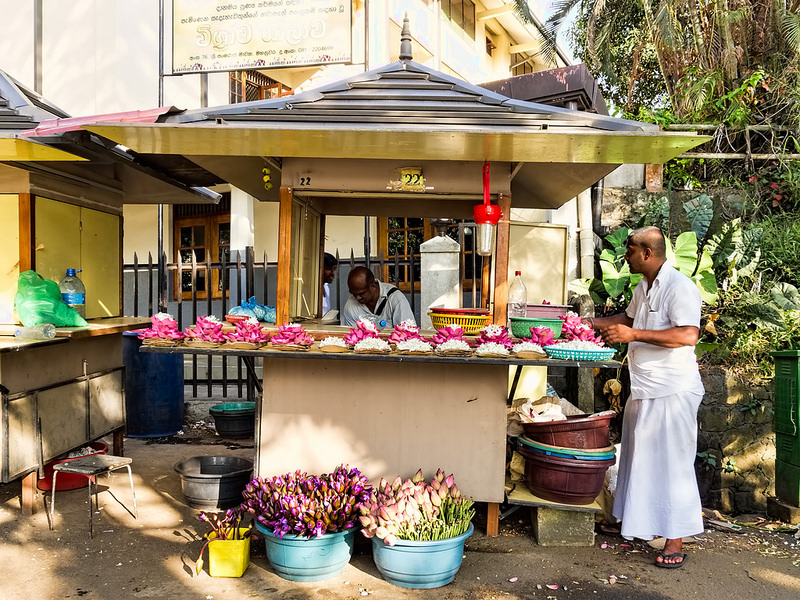 聖地アヌラーダプラの画像7
