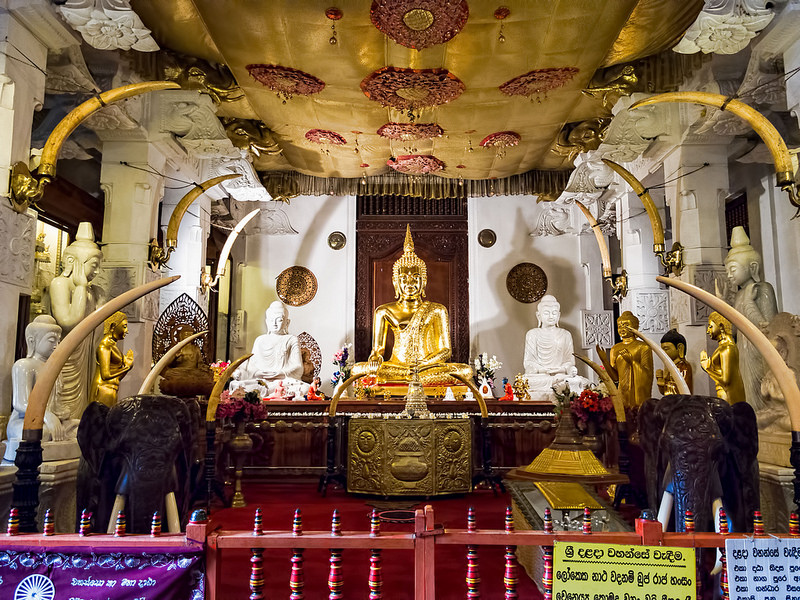 聖地キャンディの画像4