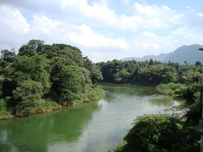 スリランカ中央高原の画像6