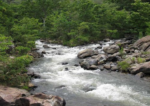 スリランカ中央高原の画像7