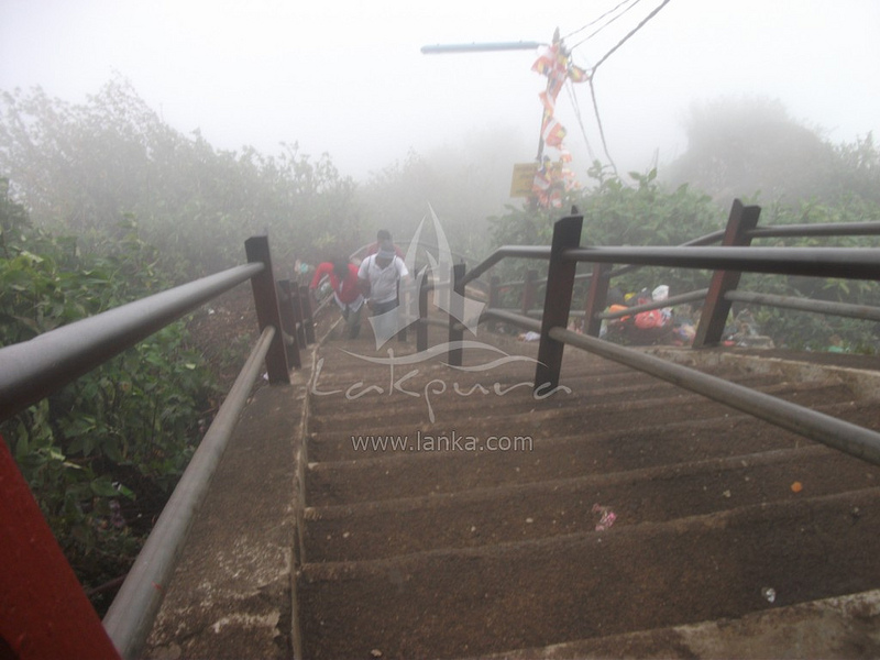 スリランカ中央高原の画像19