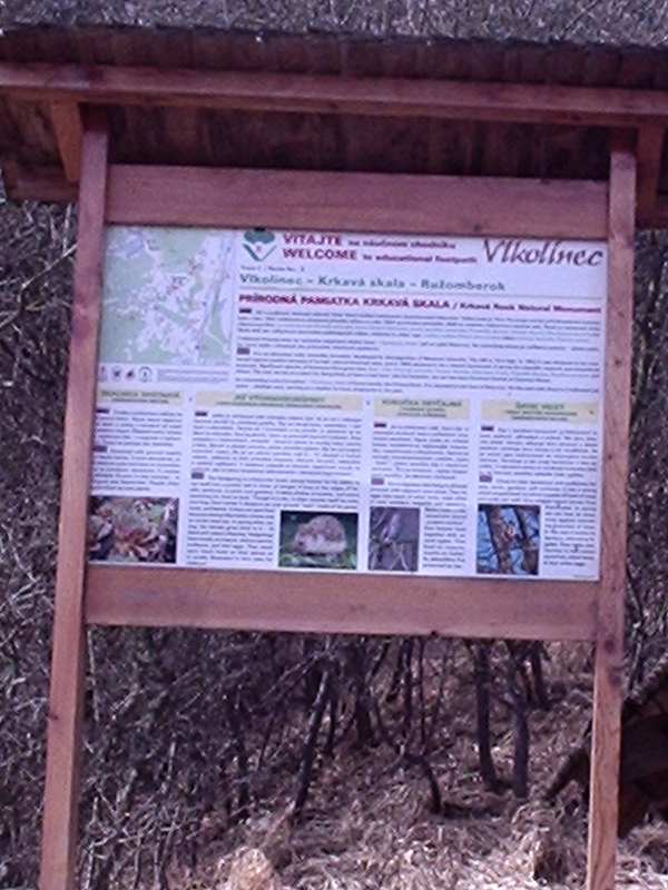 ヴルコリニェツの伝統的集落の画像14