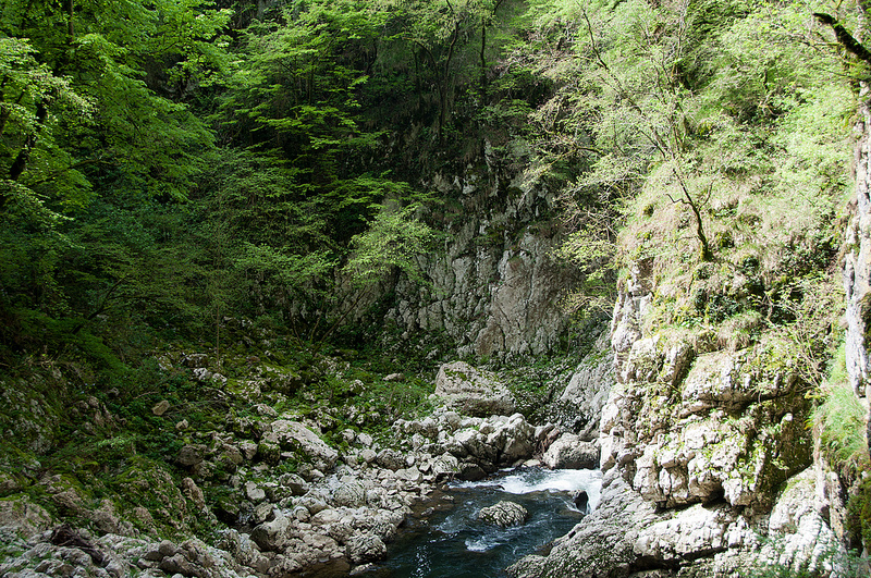 シュコツィアン洞窟群の画像12