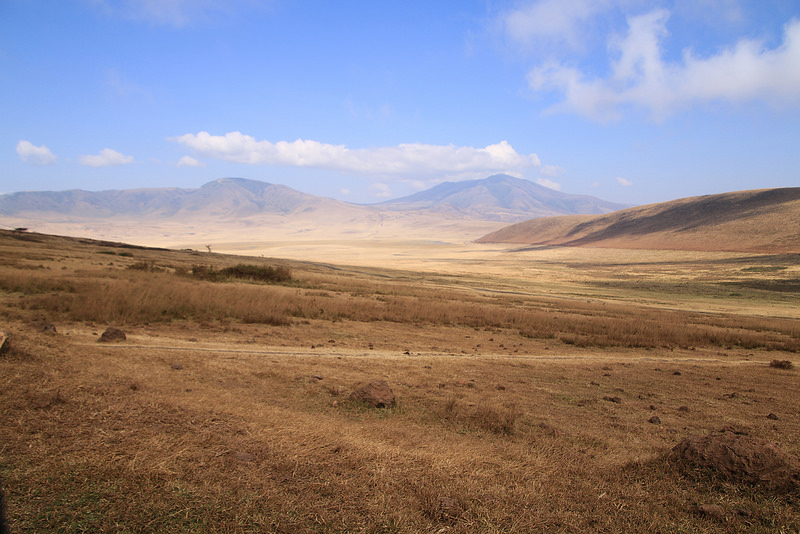 ンゴロンゴロ保全地域の画像18